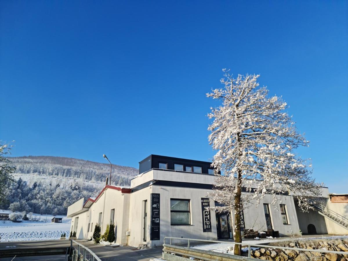 Roof Apartment Art-Pe Trebnje ภายนอก รูปภาพ
